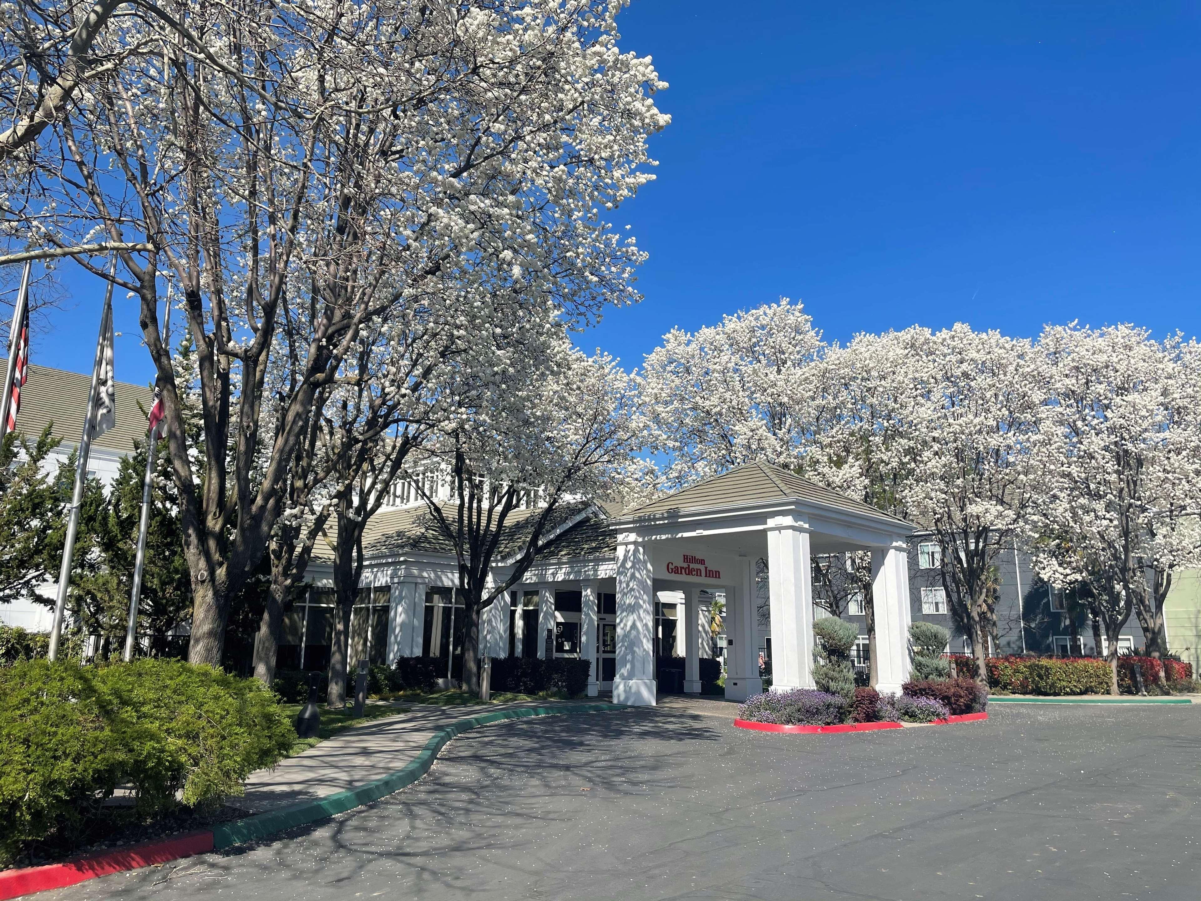 Hilton Garden Inn Sacramento/South Natomas Eksteriør bilde